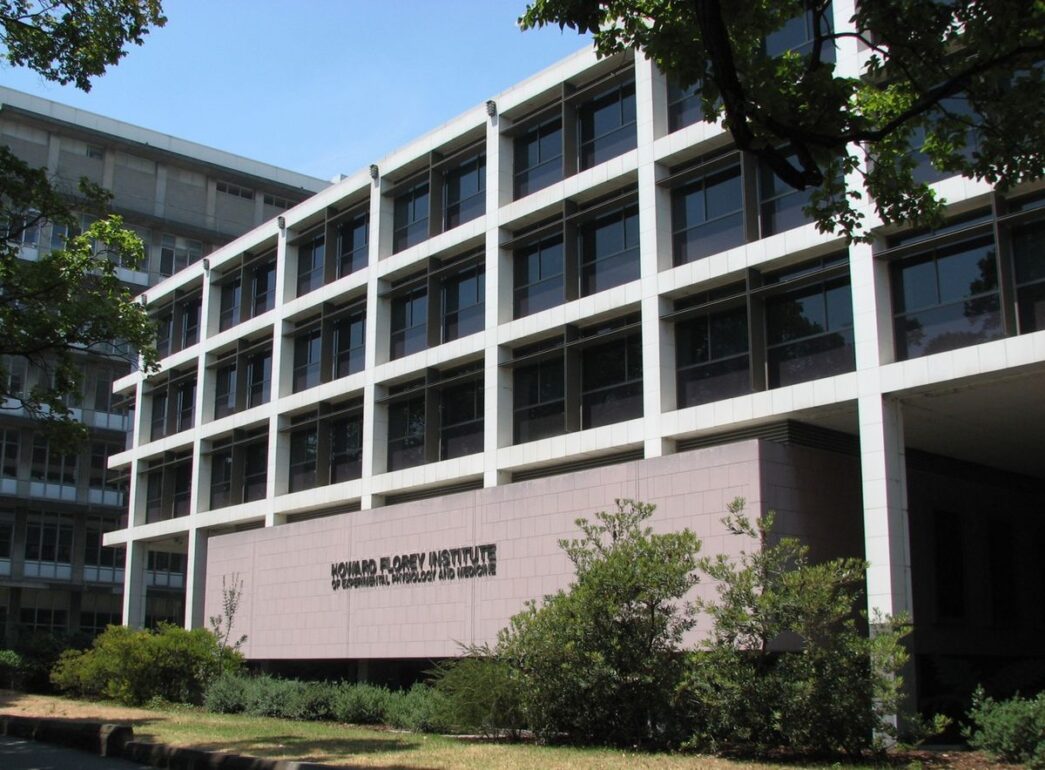 – The Economic World