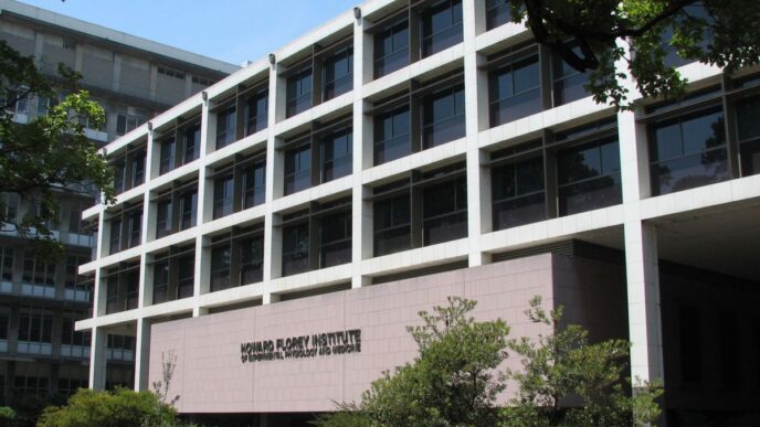 – The Economic World