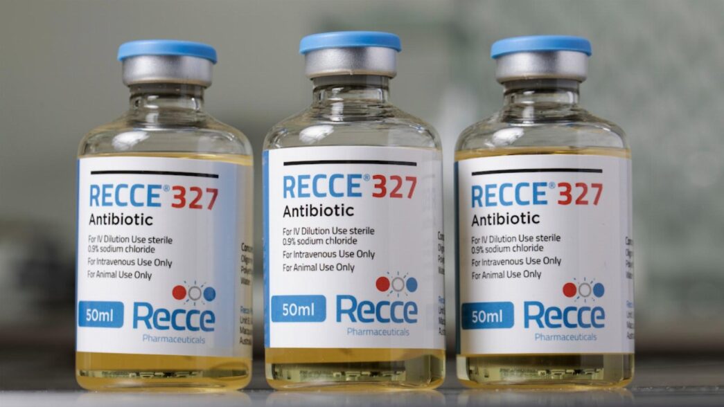 – The Economic World