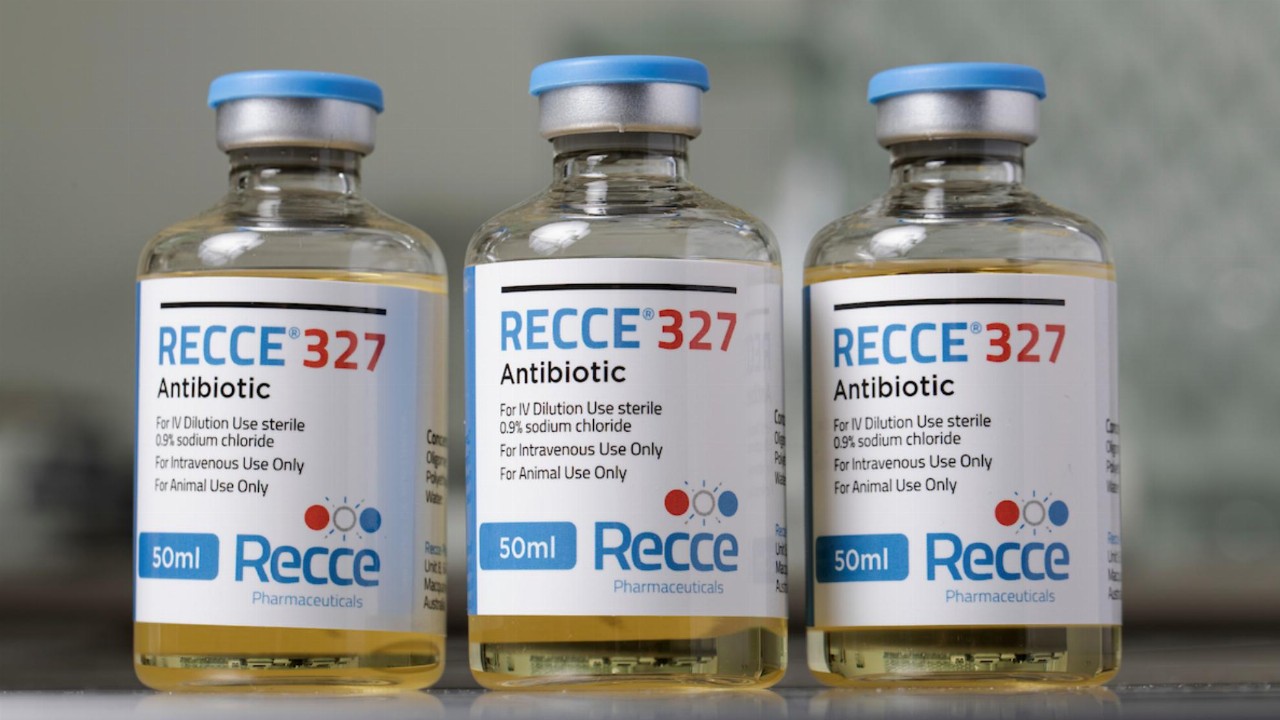 – The Economic World