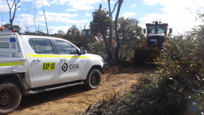 – The Economic World