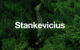 Stankevicius International