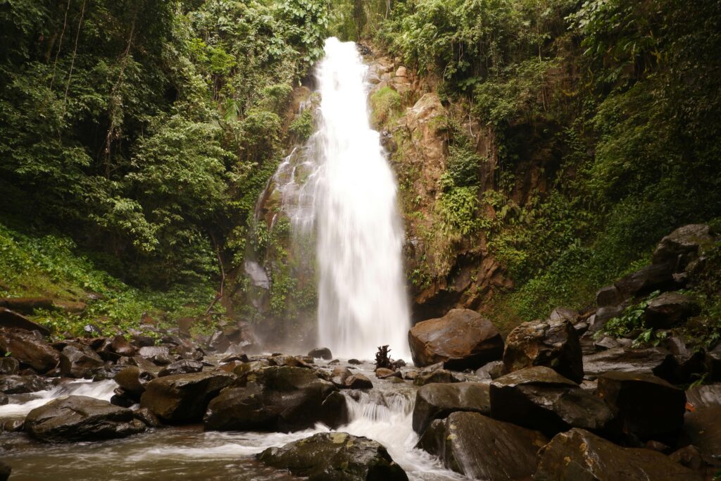 Philippines – The Economic World