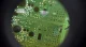 Printed circuit board viewed through a magnifier